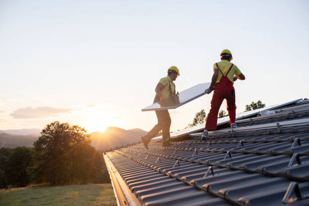 Best Roof Maintenance and Cleaning  in South Dennis, NJ